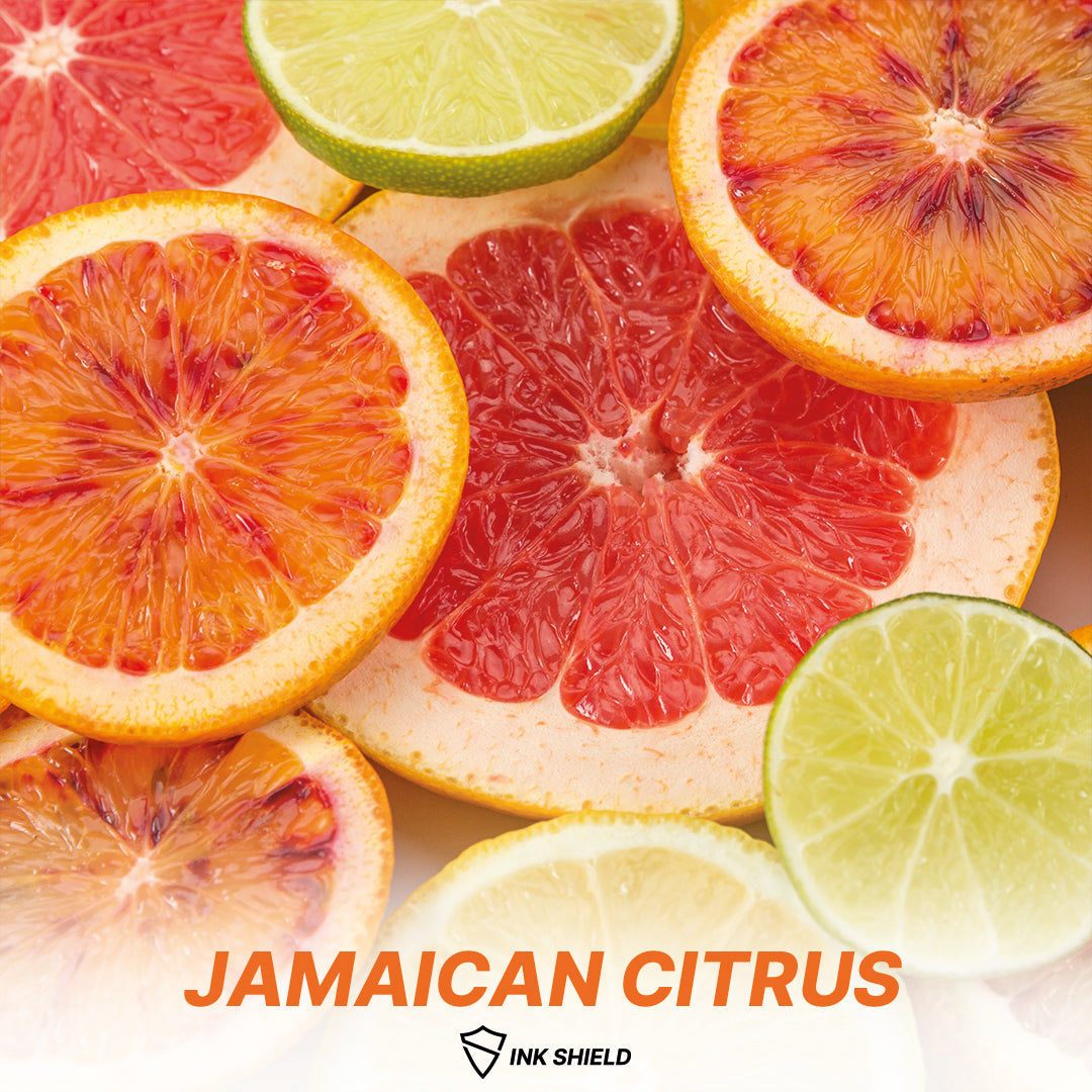 Freshener Fragrance SAMPLE Pack