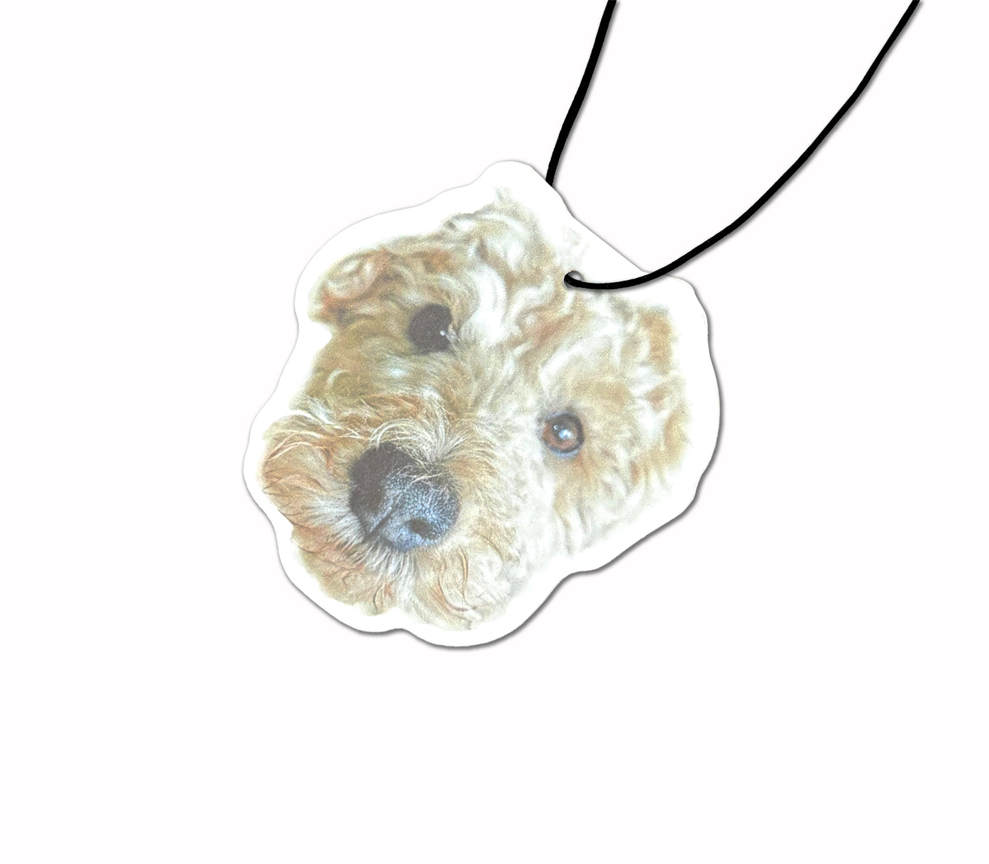 Personalised Car Fresheners