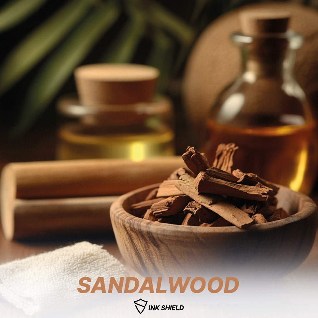 Freshener Fragrance SAMPLE Pack