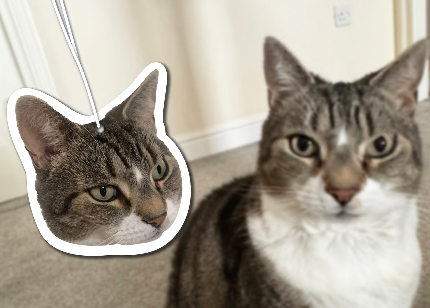 Personalised Car Fresheners